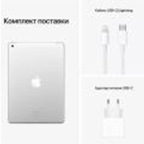 iPad 10,2" (2021) Wi-Fi 256 ГБ, Silver