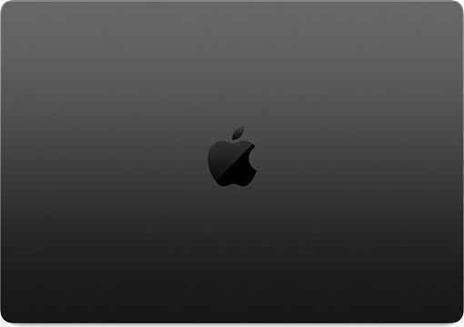 MX313 MacBook Pro 16" (M4 Max 16C CPU, 40C GPU) 48 ГБ, 1 Тб SSD, чёрный космос